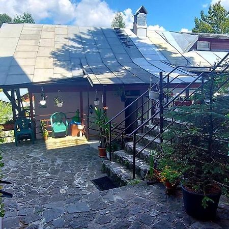 Casa Cristina_ Cabana Buşteni 外观 照片