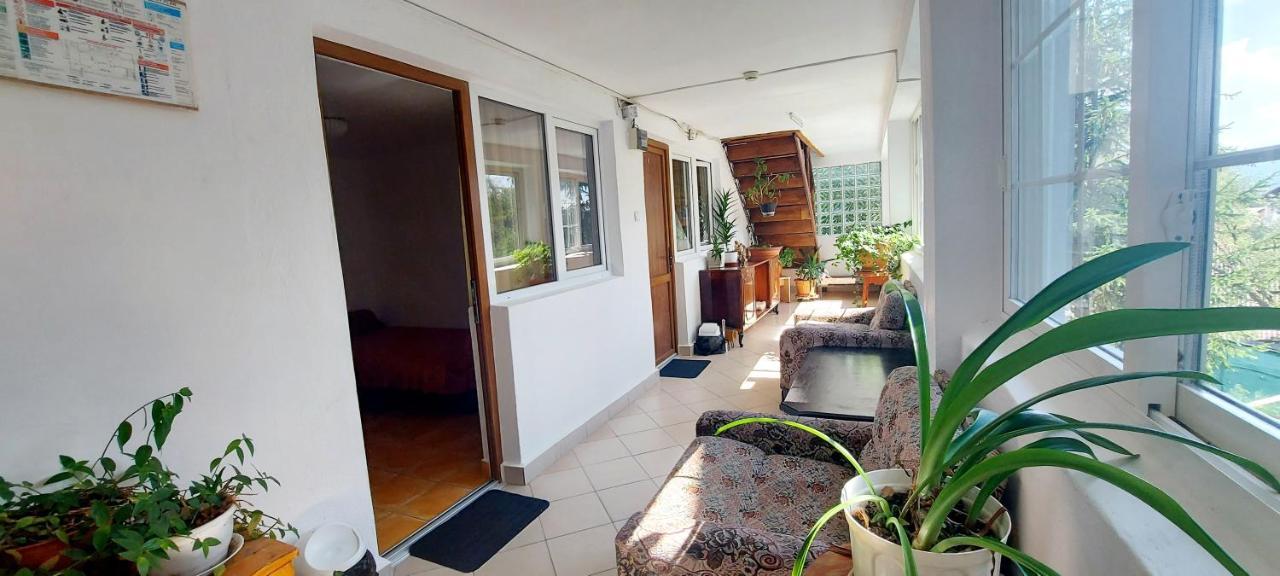 Casa Cristina_ Cabana Buşteni 外观 照片