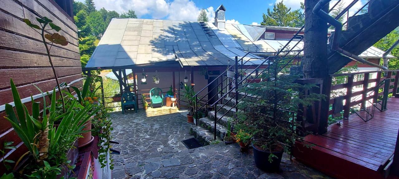 Casa Cristina_ Cabana Buşteni 外观 照片